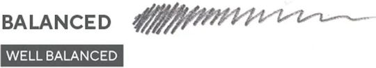 Blackwing Set de 12 Creioane cu Radieră Albe