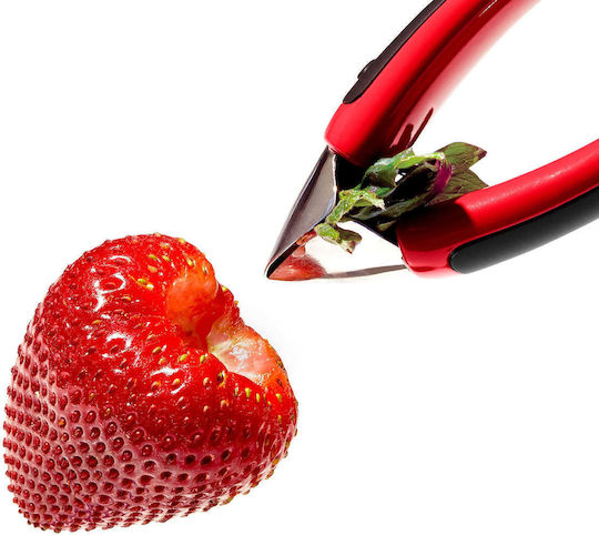 OXO Peeler/Cleaner for Tomato & Strawberry made of Stainless Steel for Tomato & Strawberry