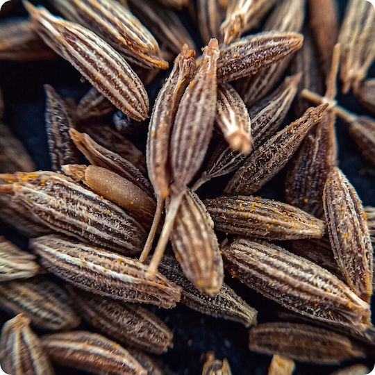 Κυμινο Ινδιων Τριμμενο 50 Gr