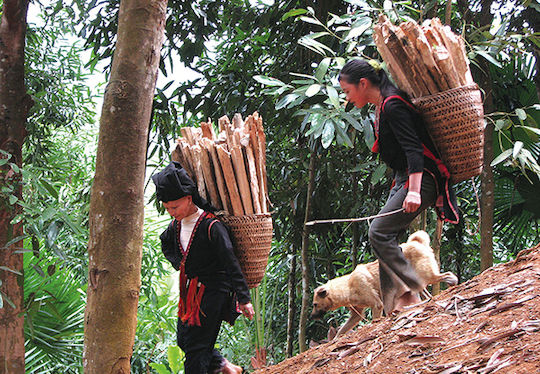Vietnamese Ground Cinnamon Cassia Quang Ngai 500 Gr