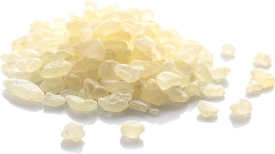 Mastic Chios 20 Gr