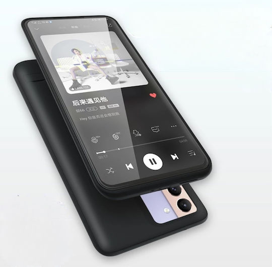 Back Cover Black (Galaxy S21 FE)
