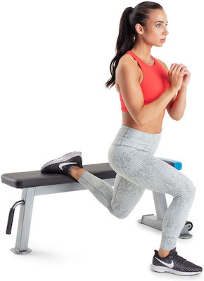 Proform Horizontal Workout Bench