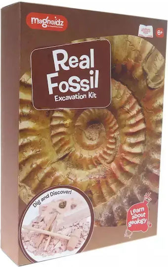 Keycraft Discover Fossils Discover Fossils Discover Fossils, +6 Years Joc Educațional de Cunoștințe pentru 6+ ani Ani