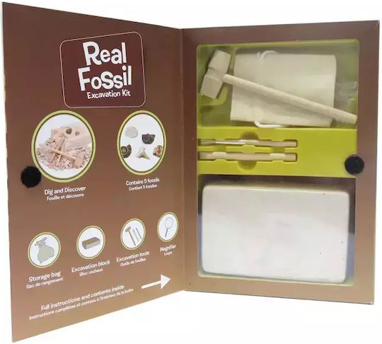 Keycraft Discover Fossils Discover Fossils Discover Fossils, +6 Years Joc Educațional de Cunoștințe pentru 6+ ani Ani