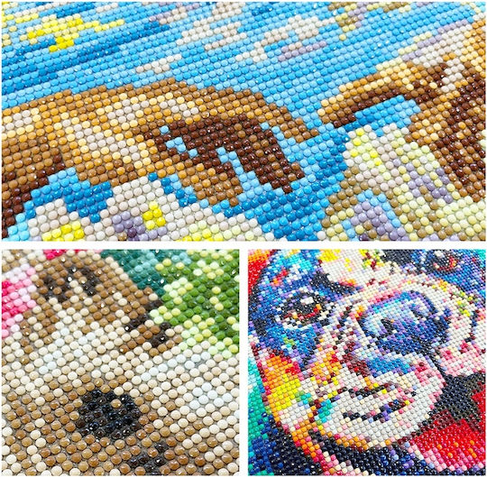 Pânză Diamond Painting Kit