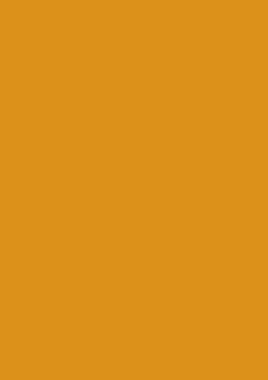 Titanum Decorative Element for DIY Crafts Orange 5pcs