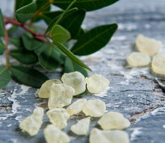 Panora Mastic in Powder 100gr