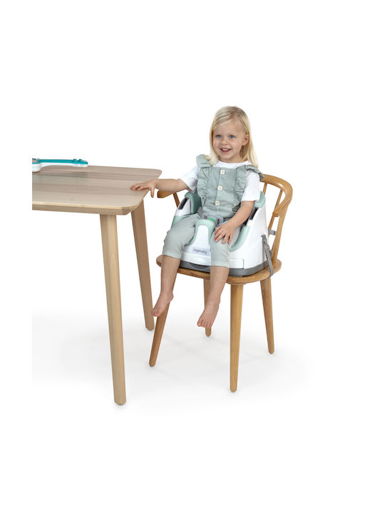 Ingenuity Portable Plastic Booster Seat for Chair