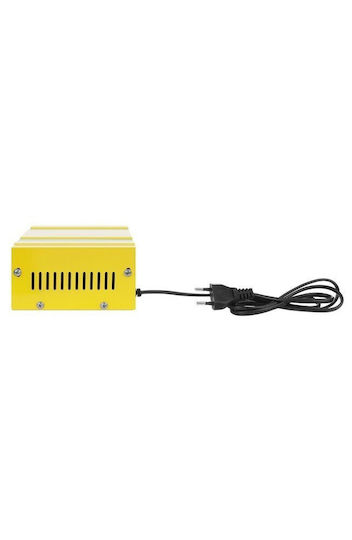 ZY11123QWS57 Încărcător de baterii cu plumb 12V