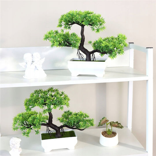 Bonsai În Ghiveci Mic