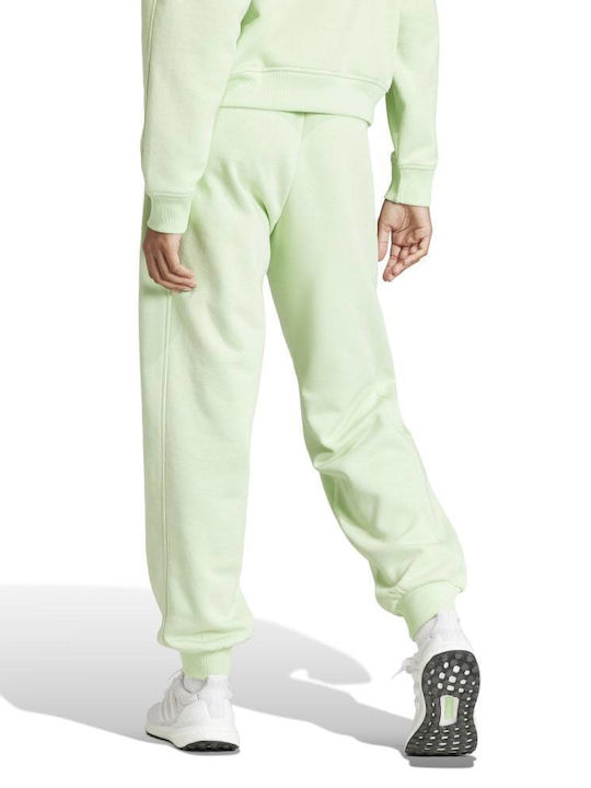 adidas Παντελόνι Φόρμας Πράσινο