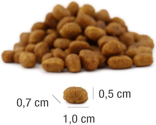 Platinum Pet Food & Care MeatCrisp Kitten Dry Food for Young Cats with Fish / Meat 1.5kg