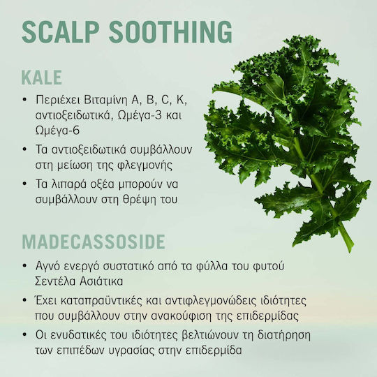Schwarzkopf BC Bonacure Scalp Genesis Soothing Leave In Serum για Ενδυνάμωση 100ml