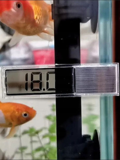 Aquarium Thermometer Aquarium Suction Cup Battery Outdoor Terrarium