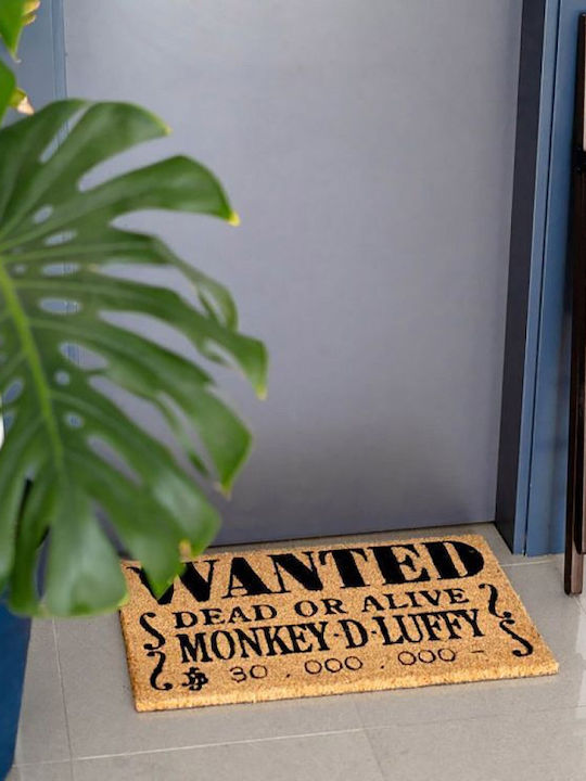Grupo Erik Doormat Made of Coconut Tree with Non-Slip Backing One Piece Brown 40x60cm
