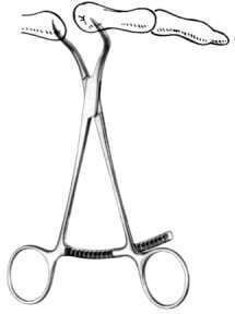Hilbro Medical & Surgical Forcep 13.5cm