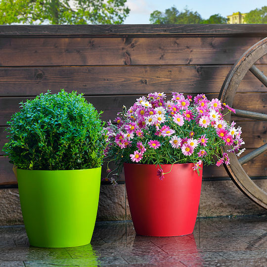 Hydrostab Blumentopf Fuchsie