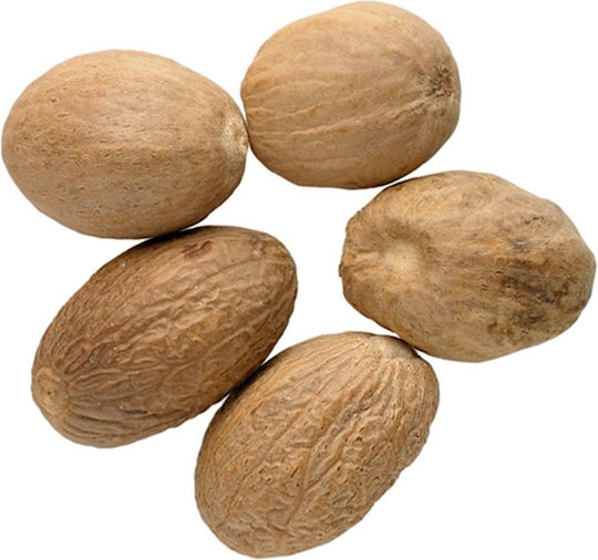Panora Nutmeg 30gr