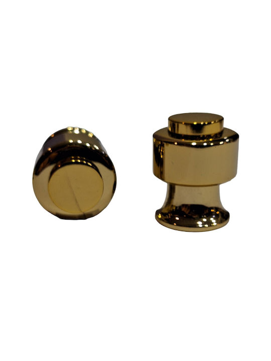 Eurofer Knob Furniture made of Metallic Gold-glossy 11793-000-BRZ2 1pcs