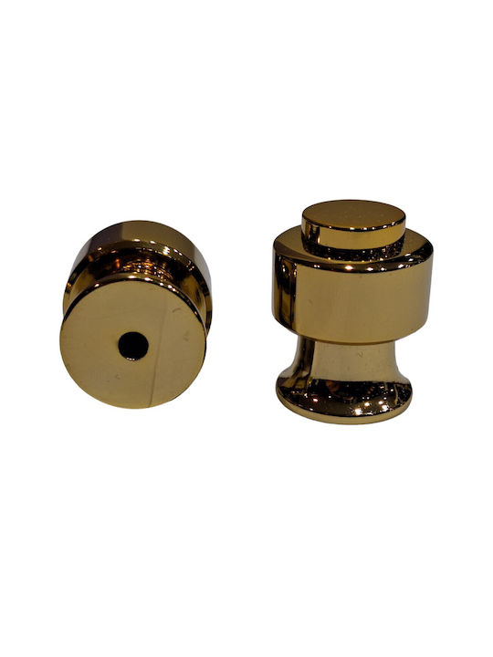 Eurofer Knob Furniture made of Metallic Gold-glossy 11793-000-BRZ2 1pcs