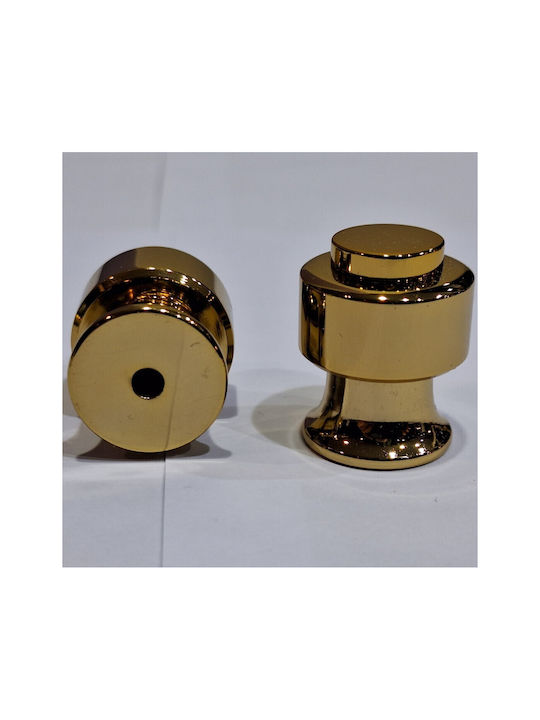 Eurofer Knob Furniture made of Metallic Gold-glossy 11793-000-BRZ2 1pcs