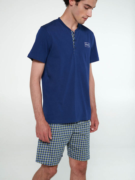 Vamp Blue Royal