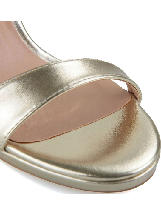 Silia D