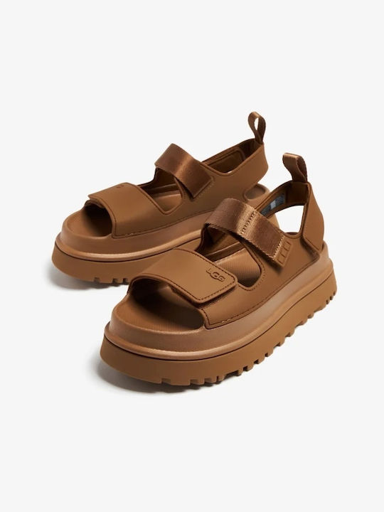 Women's Flat Sandals in Brown Color Regular Fit