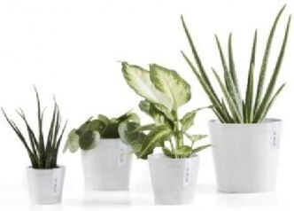 Ecopots Amsterdam Κασπώ Λευκό 17x17x15εκ.