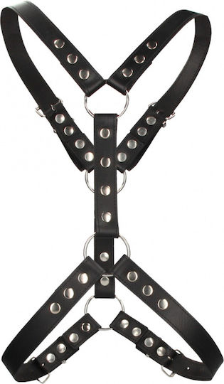 Harness With Metal Spots - Black