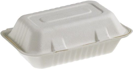 Leone Set von 100 Boxen 23x15cm