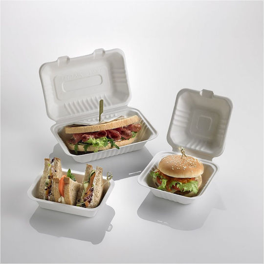 Leone Set von 100 Boxen 23x15cm