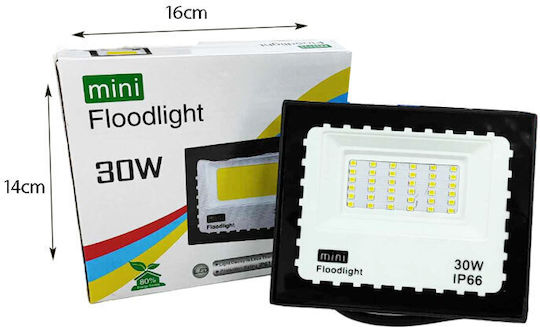 Waterproof LED Floodlight 30W IP67