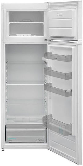 Sharp Ψυγείο Δίπορτο 243lt Υ160xΠ54xΒ56εκ. Λευκό SJ-FTB03ITXWE