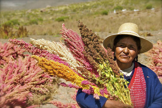Quinoa White Seed Peru (quinoa Peru) 1000 Gr