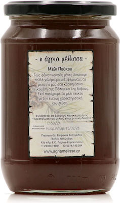 Agria Melissa Pine Tree Honey (950g) - Nomadic Beekeeping Pine Honey