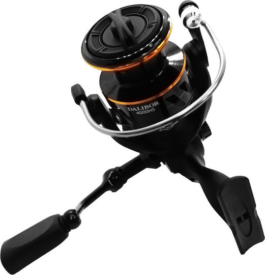 Oceanic Dalibor Fishing Reel for Eging and Spinning 2000