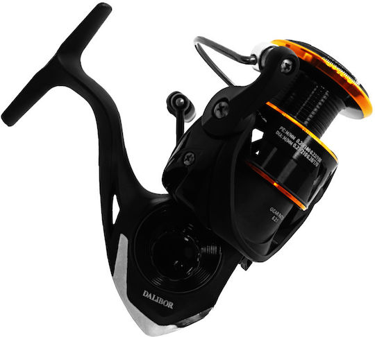 Oceanic Dalibor Fishing Reel for Eging and Spinning 2000