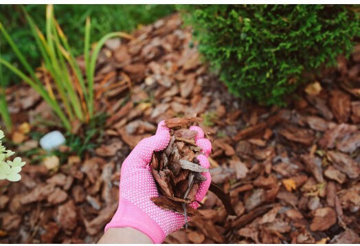 Material de Plantare Scoarță de pin 25/40 Ambalaj 70lt CO24