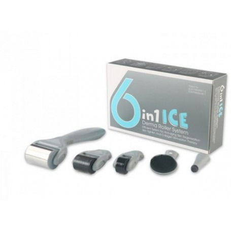 Σετ 6 Σε 1 Ice Derma Roller Με Βελόνες Τιτανίου Για Αντιγήρανση