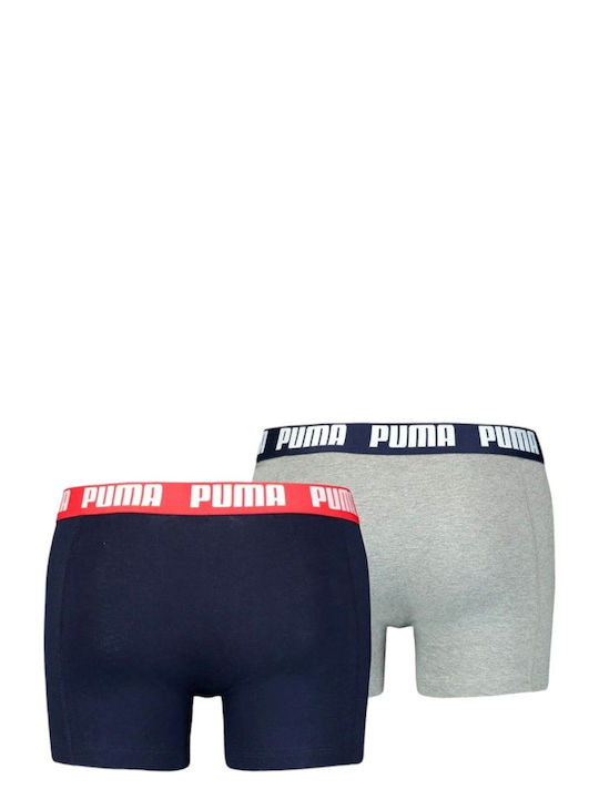 Puma Everyday Basic 2-Pack Мъжки Боксерки 701226387-006