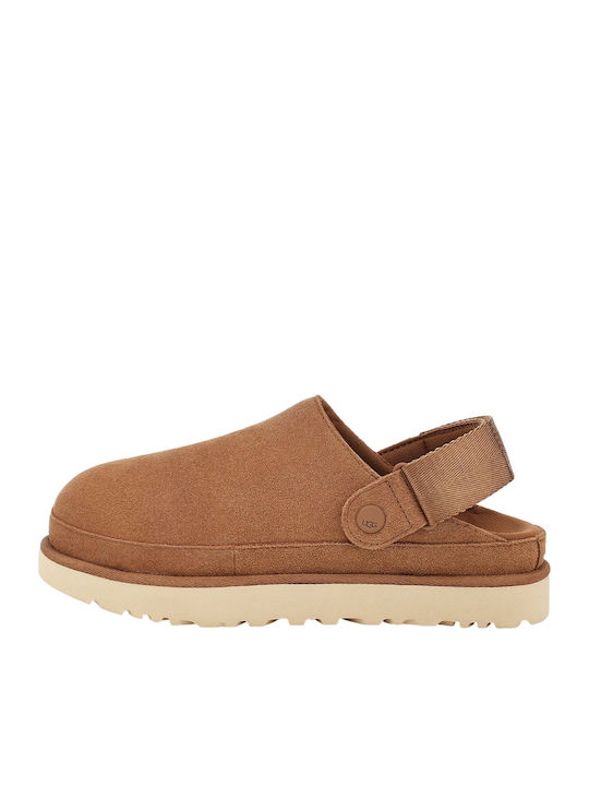 Goldenstar Closed Leather Women's Slippers Brown Regular Fit