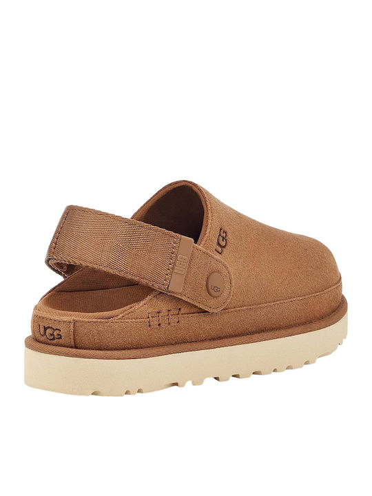 Goldenstar Closed Leather Women's Slippers Brown Regular Fit