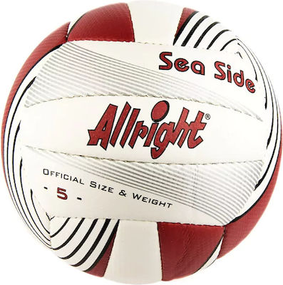 Αθλοπαιδιά Volleyball Ball No.5