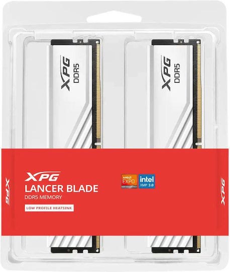 Adata Adata Lancer 32GB DDR5 RAM mit 2 Modulen (2x16GB) und Geschwindigkeit 6000 für Schreibtisch