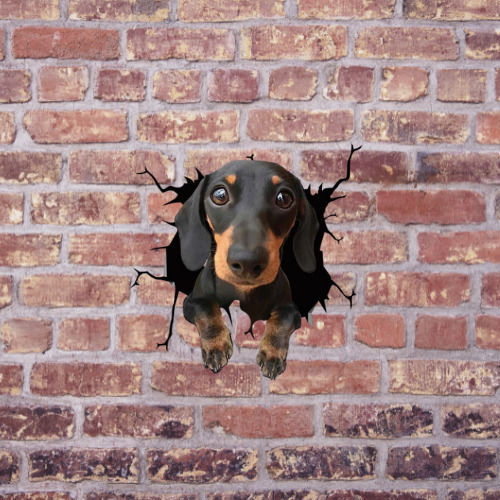 Autocolant decorativ Dachshund pentru casă sau mașină, autocolant premium, 30 X 30 Cm, oferte originale