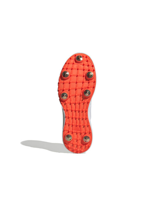 Howzat Spike 20 Sport Shoes Spikes White