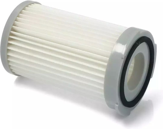 Electrolux Filtre Hepa pentru Aspirator Electric Compatibile cu AEG / Electrolux