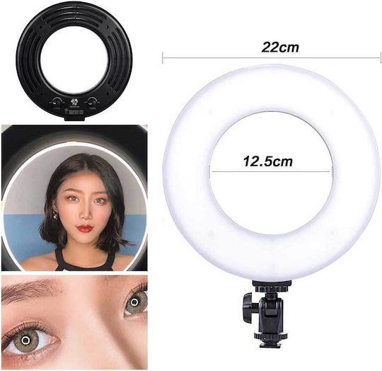 Hakutatz Hk11 Professional Photo Ομπρέλα για Studio